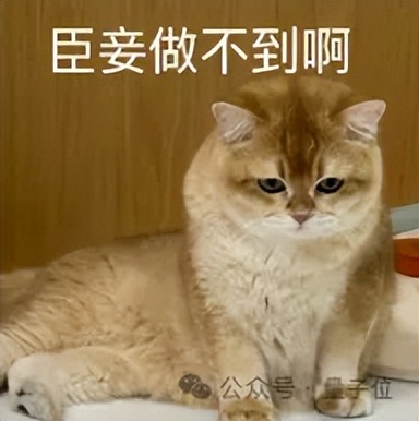 人形机器人半马冠军，为什么会选择全尺寸？