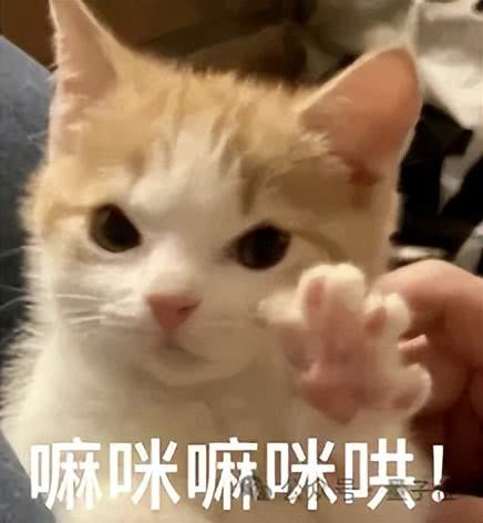 图像编辑开源新SOTA，来自多模态卷王阶跃！大模型行业正步入「多模态时间」