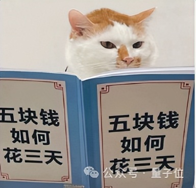 AI视频突飞猛进这一年，国产之光可灵AI笑到最后