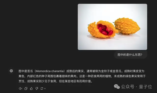 豆包升级了“眼睛”，看APP截图就能写代码了！超低价让多模态AI普惠