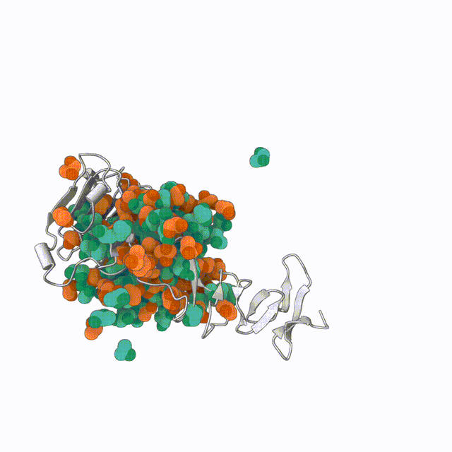 与AlphaFold3持平！国产抗体设计生成式AI大模型发布，能同时预测抗原抗体复合物结构和抗体从头设计