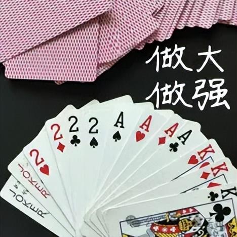 苏妈掷48亿现金吞下AI模型公司，英伟达有的AMD也要有