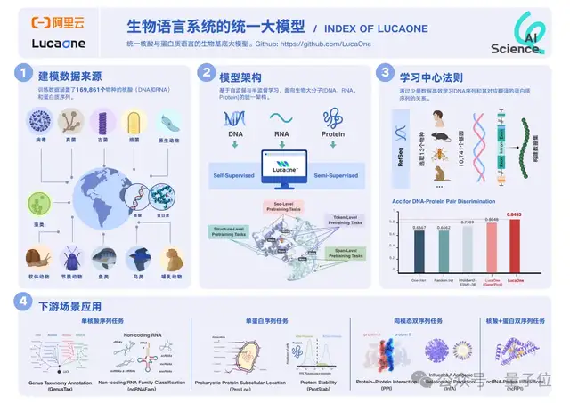 AlphaFold 3不开源，统一生物语言大模型阿里云先开了！